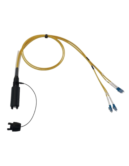Conexión FO BEAM IP68 Senior BEAM/K-SMQUAD-4LC/10 | Percon